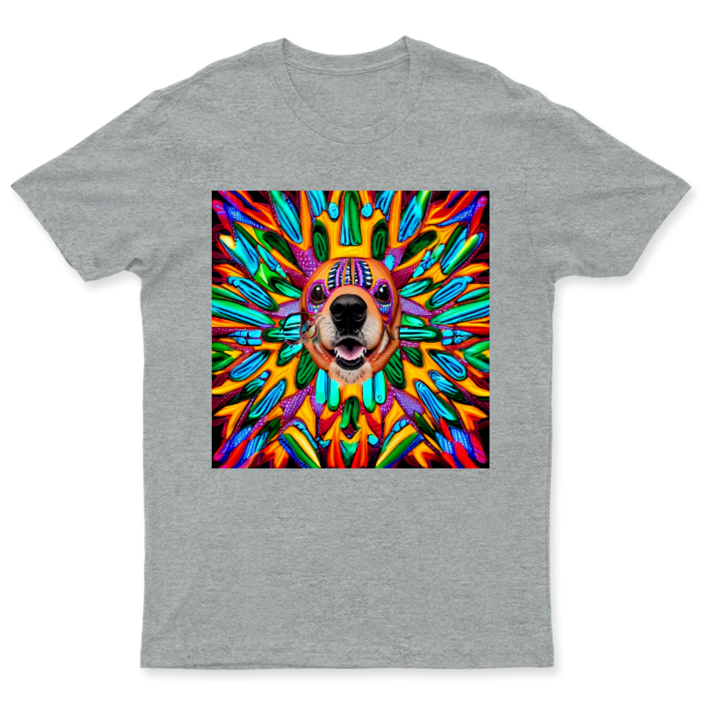 Playera Unisex AlebriBoom