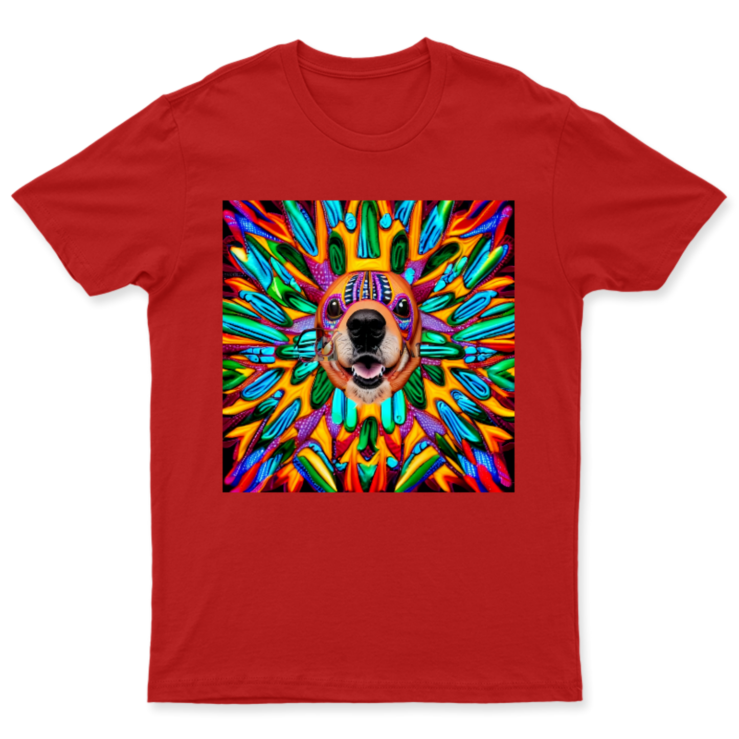 Playera Unisex AlebriBoom